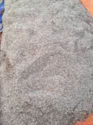 High Quality Coix Seeds Job Tears Binh Thuan Vietnam 12-Month Shelf Life Food Grade OEM Brand Model VSF_CS_002 Bulk <b>Agriculture</b> - Product Image 4