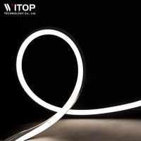Vente chaude 3D 13*13MM RVB Silicone Neon Flex LED Bandes Lumière IP67 24V App Control pour Paysage et Hôtels