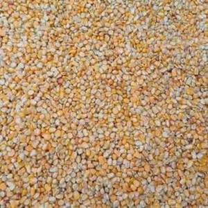 Mijo Verde 100% Orgánico para Uso Alimentario, Producto de la Mejor Calidad Disponible al Mejor Precio de Venta - Product Image 1