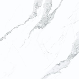 Grade First logo personnalisé pour les carreaux de sol de salle de bain d'intérieur Carrelages en porcelaine d'usine en gros - Product Image 2