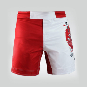Shorts de MMA de Primera Calidad para Hombre, Nuevos en 2025, con Logotipo Personalizado de la Mejor Calidad, Crea Tu Propio Diseño, Shorts de MMA con el Mejor Servicio OEM - Product Image 3