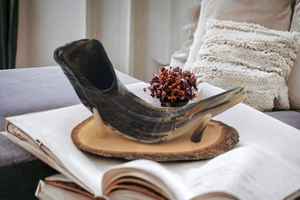 Shofar de Cuerno de Carnero Pulido Natural Kosher, Tamaño Personalizado, Material Orgánico para Fines Religiosos, Decoración Náutica para el Hogar - Product Image 2