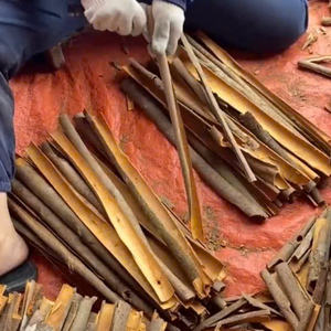 แยก Cassia | cannelle fendue สำหรับเบเกอรี่และทำอาหาร, ต้นกำเนิดจากเวียดนาม, แหล่งที่ยั่งยืน, สีเหลืองแดง - Product Image 4