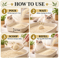 Litière pour chat en tofu de qualité supérieure, sans poussière, biodégradable, à forte absorption, non collante, vente en gros d'usine, OEM/ODM