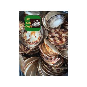 COQUILLES DE LIMPETTE NATURELLES POLIES À LA MAIN DU VIETNAM COQUILLES DE MER OVALES POUR LA DÉCORATION ART EN RÉSINE ET LA DISTRIBUTION EN GROS - Product Image 5