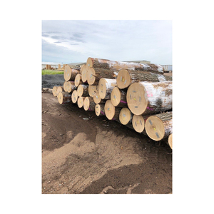 Madera de roble y haya, leña de troncos/manglares, leña de madera dura en venta, leña de madera dura, leña de abedul, roble y - Product Image 3