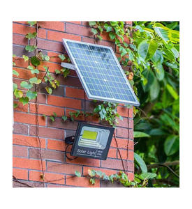 Lámparas Solares de Alta Calidad, Lámpara LED Solar de 100W con Batería de Litio y Sensor de Luz Diurna para Principiantes - Product Image 6