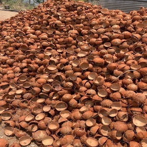 Matériel de coquille de noix de coco crue en gros disponible pour la gestion des déchets agricoles avec livraison rapide et qualité supérieure - Product Image 3