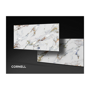 Carreaux en porcelaine de haute qualité 60 cm * 120 cm avec finition sculptée, design moderne pour les murs et les sols intérieurs, provenant d'exportateurs indiens - Product Image 6