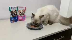 Cibo Umido per Animali Domestici - Product Image 2