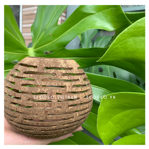 Vendeur chaud 2025!!! Nouveau design Bougeoir en coquille de noix de coco/Photophore en noix de coco avec design personnalisé et échantillon gratuit - Product Image 2