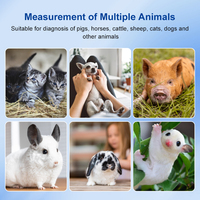 Appareil d'échographie vétérinaire portable pour un diagnostic précis des animaux et une surveillance de la santé