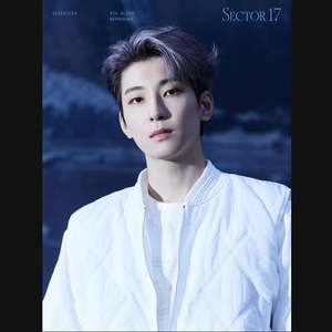 Set de Fotos Original HYBE K-POP SEVENTEEN [SECTOR 17] 4º Álbum Reeditado PLEDIS CD Photo Book Set de Regalo Sellado Oficial - Product Image 2