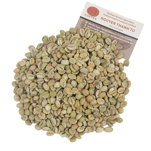 Grains de café en gros de haute qualité d'origine vietnamienne Robusta S18 non torréfiés OEM - Product Image 4