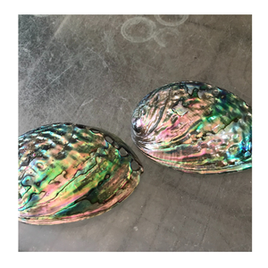 เปลือกหอยเป๋าฮื้อขัดเงาเหมาะสำหรับการตกแต่งอุปกรณ์ตกแต่งบ้านและงานศิลปะจากเวียดนาม - Product Image 2