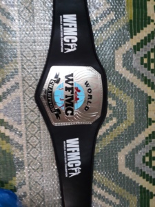 Cinturones de campeonato de boxeo Trofeos Medallas y premios el símbolo definitivo de la victoria y la excelencia Cinturones de Campeonato - Product Image 3