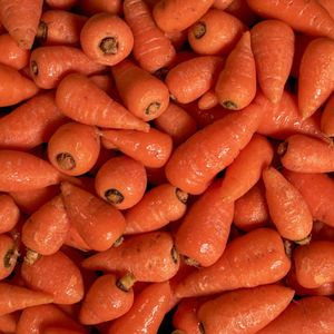 Zanahorias Frescas IQF de Buena Calidad, Nueva Cosecha, Aprobadas por HACCP, 4*4*30-50mm, en Venta - Product Image 3