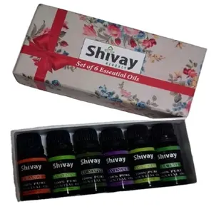 Pure and Natural Aromatherapy 4/6 Bottles Gift Set Suppliers from India at Best Price