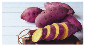 Polvo de almidón de patata al por mayor de Vietnam almidón de patata amarillo orgánico buen precio para la exportación - Product Image 5