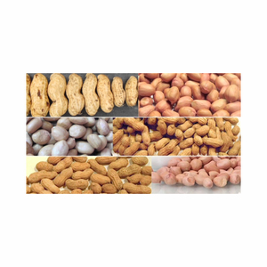 Vente en gros d'arachides séchées fraîches/congelées 100% biologiques arachides de haute qualité sans OGM à l'état brut - Product Image 6