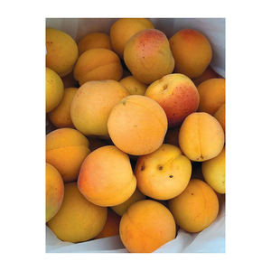 แอปริคอตลดราคาสีสดใสและรสหวานตามธรรมชาติ - Product Image 6