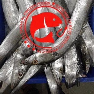 Poisson Ruban Entier Congelé Premium, Sauvage et Frais de l'Océan, Riche en Protéines, Produit de la Mer Sain, Idéal pour la Friture, la Grillade et le Barbecue - Product Image 1