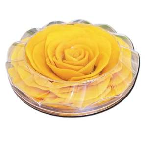 Mangue séchée à mâcher du Vietnam saveur naturelle douce commande en gros - Product Image 3