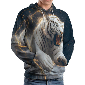 Sweat à capuche avec impression numérique pour hommes en vrac Nouveau style Décontracté Hiver Design Basics Hommes Pullover Hoodies Pour Adultes - Product Image 1