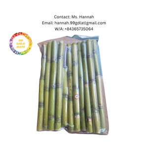 Suministro a granel al por mayor de varillas de caña de azúcar congeladas IQF de primera calidad listas para usar para hacer jugo en la industria de bebidas fábricas a buen precio - Product Image 5