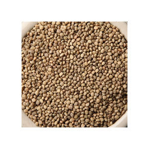 Graines de guar disponibles en vrac pour l'exportation vers les marchés industriels et alimentaires - Product Image 2