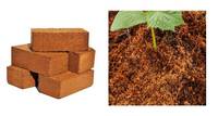 2025 Top Vente Shrekha Créations Lavé Cocopeat Palette Briques Bas EC 5kg Noix De Coco Tourbe Blocs Jardin Plante Planification (5kg)