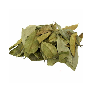 Vente en gros de feuilles de corossol naturel à base de plantes, feuilles de corossol vert naturel séché de qualité supérieure pour le thé - Product Image 1