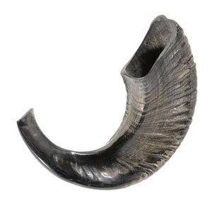 Ram Horn Shofar-Article de collection martelé et poli de qualité en gros, idée cadeau en vrac unique d'Inde - Product Image 5