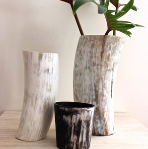 แจกันดอกไม้ติดผนังรูปเขาควายพร้อมขาตั้งโลหะทำมือตกแต่งบ้านตามธรรมชาติที่เน้นเสียง - Product Image 6