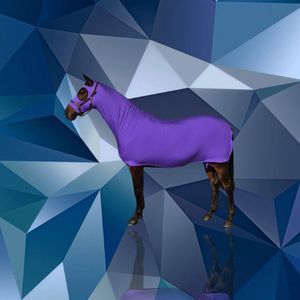 Dernier modèle Tapis d'équitation Confortable et chaud Tapis OEM avec logo personnalisé Remplissage en coton Vente en gros Meilleur tapis d'hiver personnalisé - Product Image 5