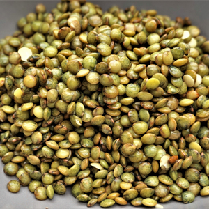 Prix de gros abordable pour les lentilles séchées avec des lentilles de la meilleure qualité exportées directement du producteur certifié - Product Image 3