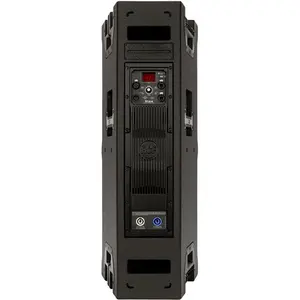 HOT SALES RCFS TTP 4-A Dual 10" 2-Way 3200W Enceinte Line-Source Array Amplifiée à Directivité Étroite - Product Image 3