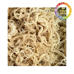 สาหร่ายทะเลแห้งธรรมชาติสำหรับทำเยลลี่และผลิตคาร์ราจีแนน - Product Image 4