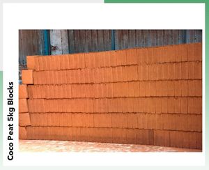 Forma de bloque comprimida de 5kg de rica calidad, turba de Coco o médula de Coco para maceta de fresa y cultivador sin suelo - Product Image 3