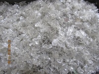 Flocons d'animaux transparents, lot de 2, rayé en plastique/à usage domestique, lavage à chaud