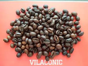 Granos de café Robusta de alta calidad grado 1-2-3 tostados secos con embalaje en bolsa de yute WA 0084968974137 - Product Image 3