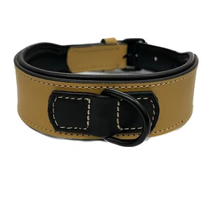 Collares de perro grandes de estilo lujoso, patrón sólido, suave, NDM, cuero acolchado, gancho ligero, cierre de bucle, todas las estaciones, proveedor indio - Product Image 1