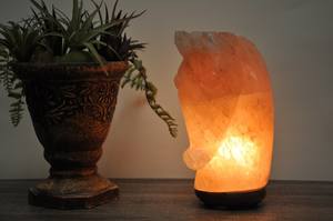 Lampes en forme de cheval de sel de l'Himalaya dans des tailles personnalisées, lampes à sel du Pakistan, lampes à sel de l'Himalaya pour la décoration intérieure - Product Image 5