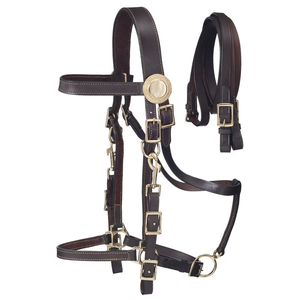 Brida de caballo de Cuero al por mayor de alta calidad con riendas fuerte duradera cómoda tachuela Ecuestre para espectáculo de entrenamiento - Product Image 1