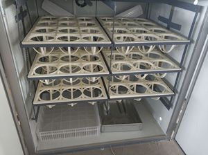 Automatische Controle <span class=keywords><strong>Incubator</strong></span>/72 Struisvogel Ei <span class=keywords><strong>Incubator</strong></span> Voor Verkoop/Struisvogel <span class=keywords><strong>Incubator</strong></span> - Product Image 5