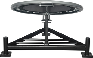 IRIS 15kg Custom Size PVC Pro Bounce Medicine <b>Ball</b> <b>Rebounder</b> for Hot Sale - Product Image 2