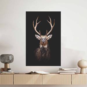 Toile imprimée élégante avec photographie de cerfs - Art mural moderne style ferme, encadrée pour galerie - Product Image 1