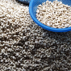 เม็ดมะม่วงหิมพานต์ WW450 W180 W120 W240 W320 LP SP แหล่งกำเนิดเวียดนาม เกรด A สำหรับมาตรฐานคุณภาพ EU AFI โดย Tyler Vilaconic - Product Image 4