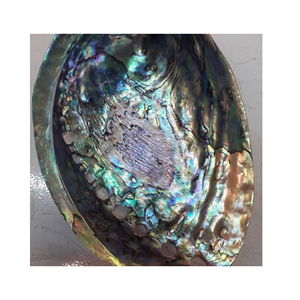 Coquilles d'ormeau vietnamiens: Transformer la beauté brute en superbes œuvres d'art et bijoux - Product Image 1