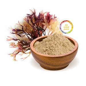 ผงมอสทะเลธรรมชาติสำหรับสูตรอาหารเสริม สมูทตี้ เครื่องสำอาง และการส่งออก - Product Image 6